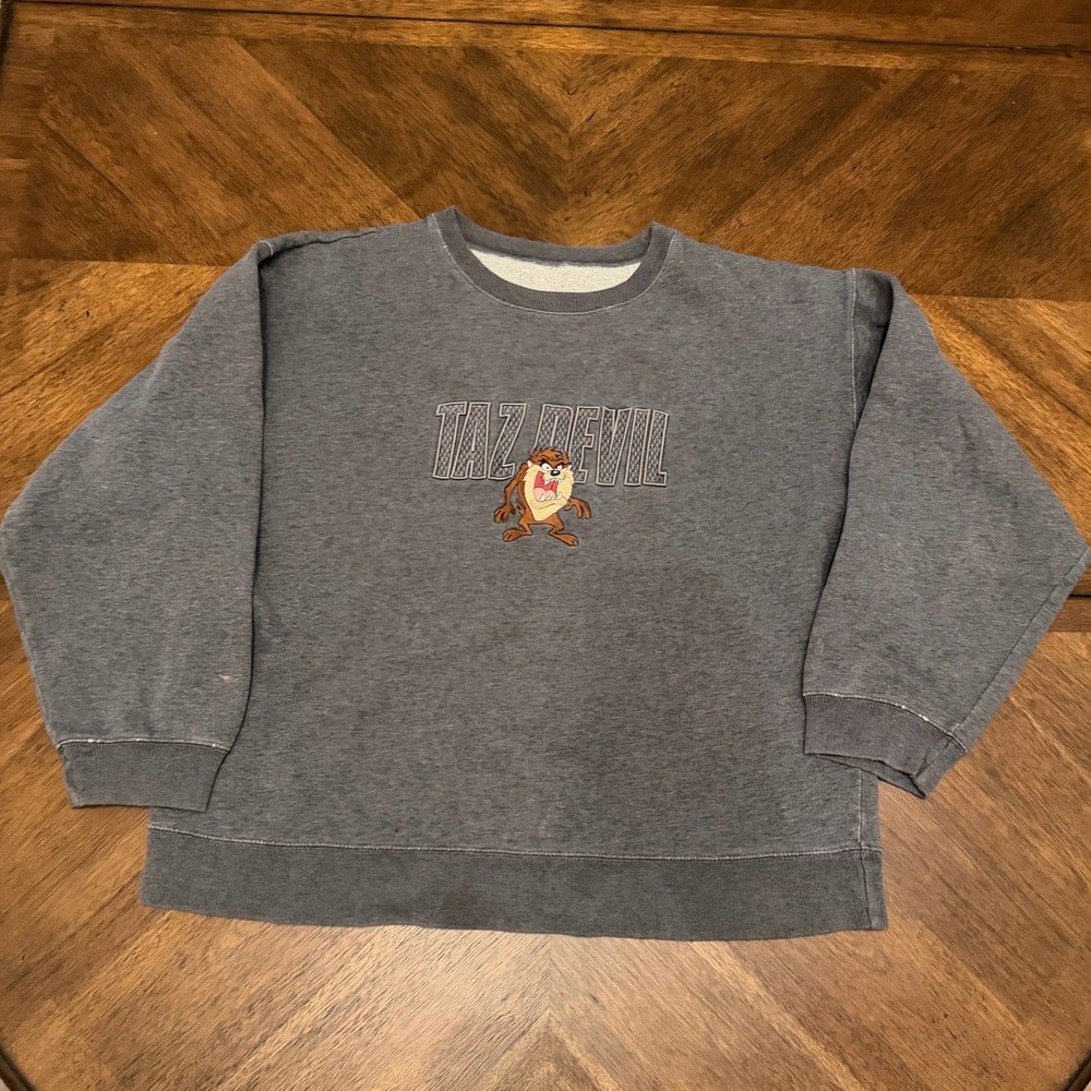 Vintage Taz Devil Looney Tunes Embroidered Sweatshirt Gray Crewneck 90s Style